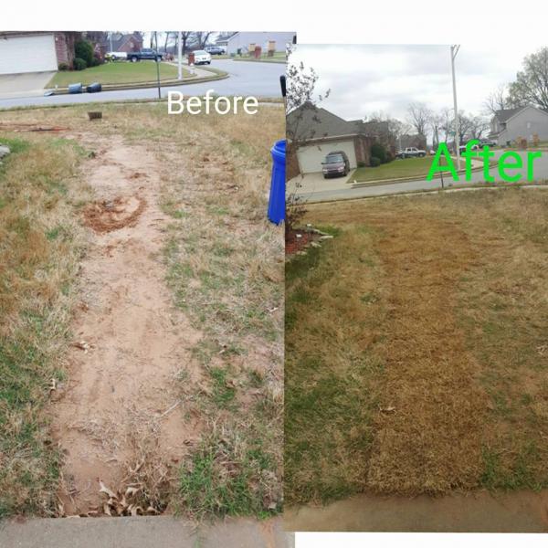 Lawn Aeration